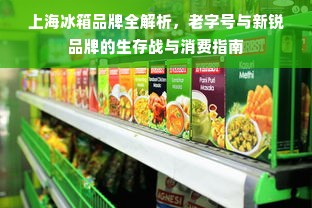 上海冰箱品牌全解析，老字号与新锐品牌的生存战与消费指南