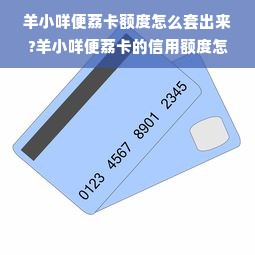京东白条额度如何套出来？怎样查京东白条临时额度？一文全解