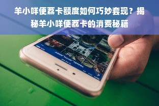 羊小咩便荔卡额度如何巧妙套现？揭秘羊小咩便荔卡的消费秘籍