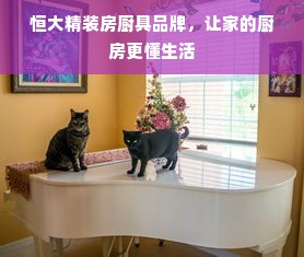 恒大精装房厨具品牌，让家的厨房更懂生活