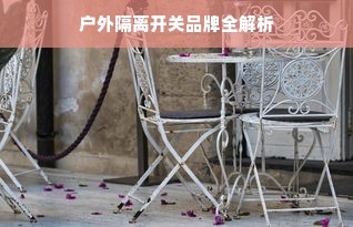 户外隔离开关品牌全解析