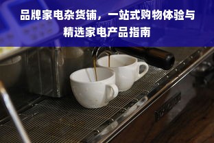 品牌家电杂货铺，一站式购物体验与精选家电产品指南