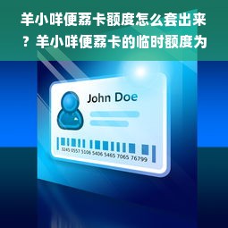羊小咩便荔卡额度怎么套出来？羊小咩便荔卡的临时额度为啥不能分期？