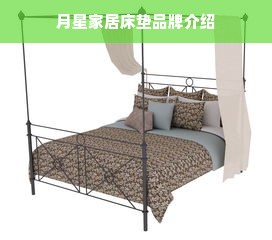 月星家居床垫品牌介绍