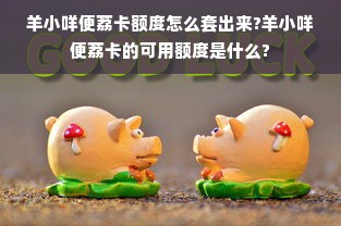 羊小咩便荔卡额度怎么套出来?羊小咩便荔卡的可用额度是什么?