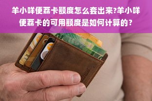 羊小咩便荔卡额度怎么套出来?羊小咩便荔卡的可用额度是如何计算的？