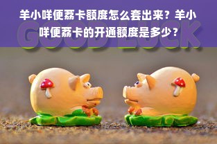 羊小咩便荔卡额度怎么套出来？羊小咩便荔卡的开通额度是多少？