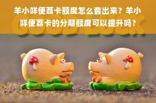 羊小咩便荔卡额度怎么套出来？羊小咩便荔卡的分期额度可以提升吗？