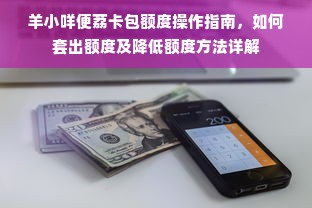 羊小咩便荔卡包额度操作指南，如何套出额度及降低额度方法详解