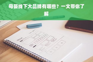 母婴线下大品牌有哪些？一文带你了解