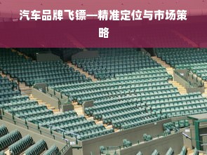 汽车品牌飞镖—精准定位与市场策略