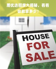 鹿优选额度大揭秘，看看你能拿多少！