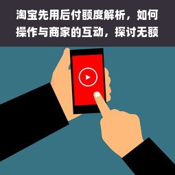 淘宝先用后付额度解析，如何操作与商家的互动，探讨无额度支付背后的原因