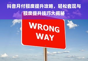 抖音月付额度提升攻略，轻松套现与额度提升技巧大揭秘