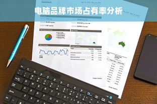 电脑品牌市场占有率分析