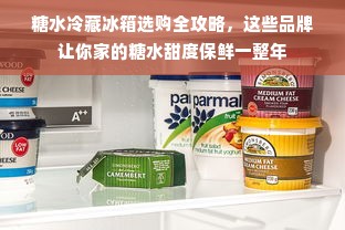 糖水冷藏冰箱选购全攻略，这些品牌让你家的糖水甜度保鲜一整年