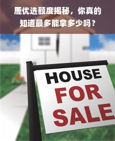 鹿优选额度揭秘，你真的知道最多能拿多少吗？