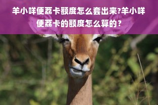 羊小咩便荔卡额度怎么套出来?羊小咩便荔卡的额度怎么算的？