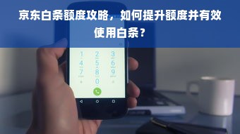 京东白条额度攻略，如何提升额度并有效使用白条？