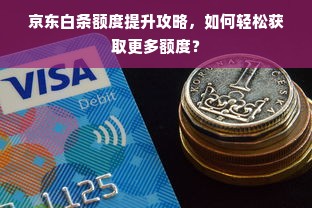 京东白条额度提升攻略，如何轻松获取更多额度？