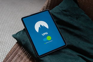 京东白条额度提升指南，安全提额方法与实用技巧