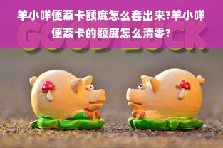 羊小咩便荔卡额度怎么套出来?羊小咩便荔卡的额度怎么清零?