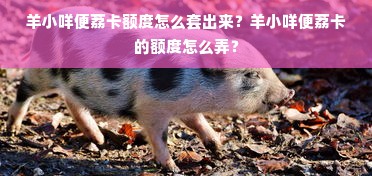 羊小咩便荔卡额度怎么套出来？羊小咩便荔卡的额度怎么弄？