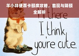 羊小咩便荔卡额度攻略，套现与降额全解析