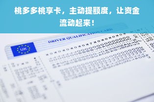桃多多桃享卡，主动提额度，让资金流动起来！