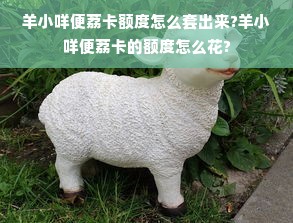 羊小咩便荔卡额度怎么套出来?羊小咩便荔卡的额度怎么花?