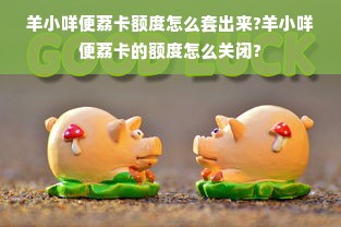 羊小咩便荔卡额度怎么套出来?羊小咩便荔卡的额度怎么关闭?