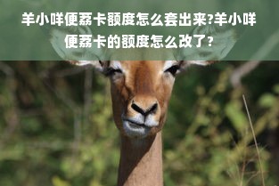 羊小咩便荔卡额度怎么套出来?羊小咩便荔卡的额度怎么改了?