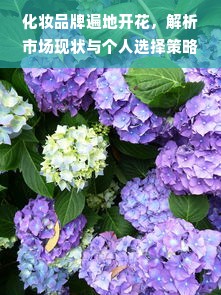 化妆品牌遍地开花，解析市场现状与个人选择策略