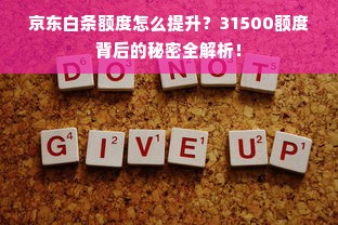 京东白条额度怎么提升？31500额度背后的秘密全解析！