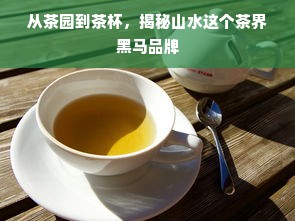 耐水油漆推荐品牌有哪些？这份选购指南帮你避坑