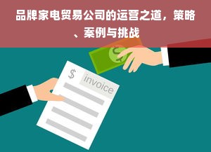 品牌家电贸易公司的运营之道，策略、案例与挑战