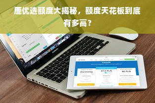 鹿优选额度大揭秘，额度天花板到底有多高？