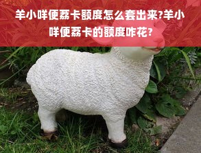 羊小咩便荔卡额度怎么套出来?羊小咩便荔卡的额度咋花?