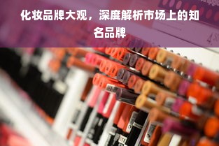 化妆品牌大观，深度解析市场上的知名品牌
