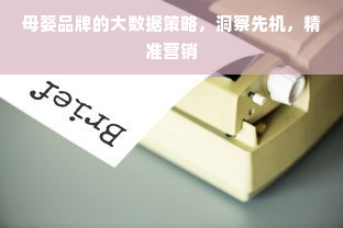 母婴品牌的大数据策略，洞察先机，精准营销