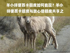 羊小咩便荔卡额度如何套现？羊小咩便荔卡额度与放心借额度共享之谜