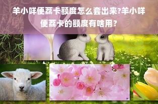 羊小咩便荔卡额度怎么套出来?羊小咩便荔卡的额度有啥用？