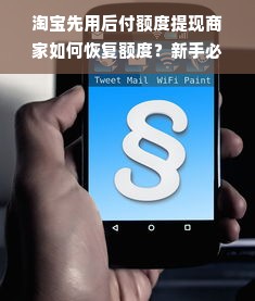 淘宝先用后付额度提现商家如何恢复额度？新手必看指南！