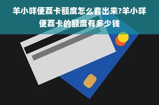 羊小咩便荔卡额度怎么套出来?羊小咩便荔卡的额度有多少钱