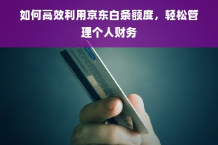 如何高效利用京东白条额度，轻松管理个人财务