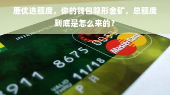 鹿优选额度，你的钱包隐形金矿，总额度到底是怎么来的？