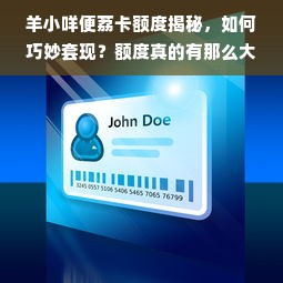 羊小咩便荔卡额度揭秘，如何巧妙套现？额度真的有那么大吗？