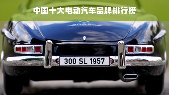 中国十大电动汽车品牌排行榜