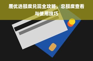 鹿优选额度兑现全攻略，总额度查看与使用技巧