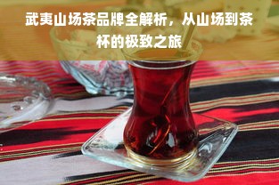 武夷山场茶品牌全解析，从山场到茶杯的极致之旅